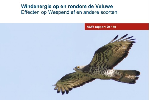 Rapport Windenergie op de Veluwe